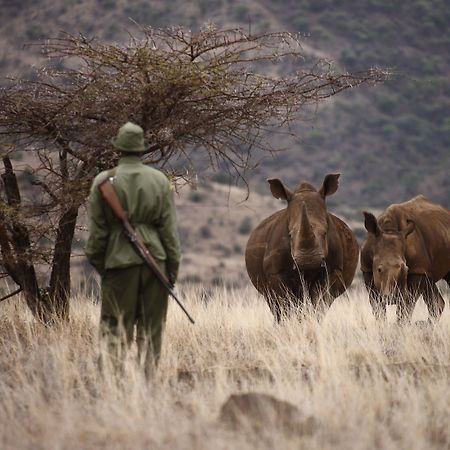 Elewana Lewa Safari Camp Hotell Timau Eksteriør bilde