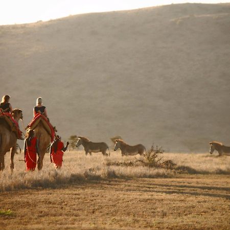 Elewana Lewa Safari Camp Hotell Timau Eksteriør bilde
