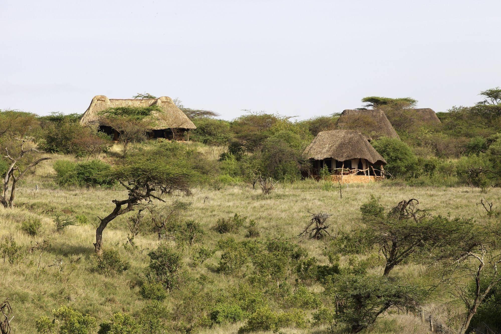 Elewana Lewa Safari Camp Hotell Timau Eksteriør bilde