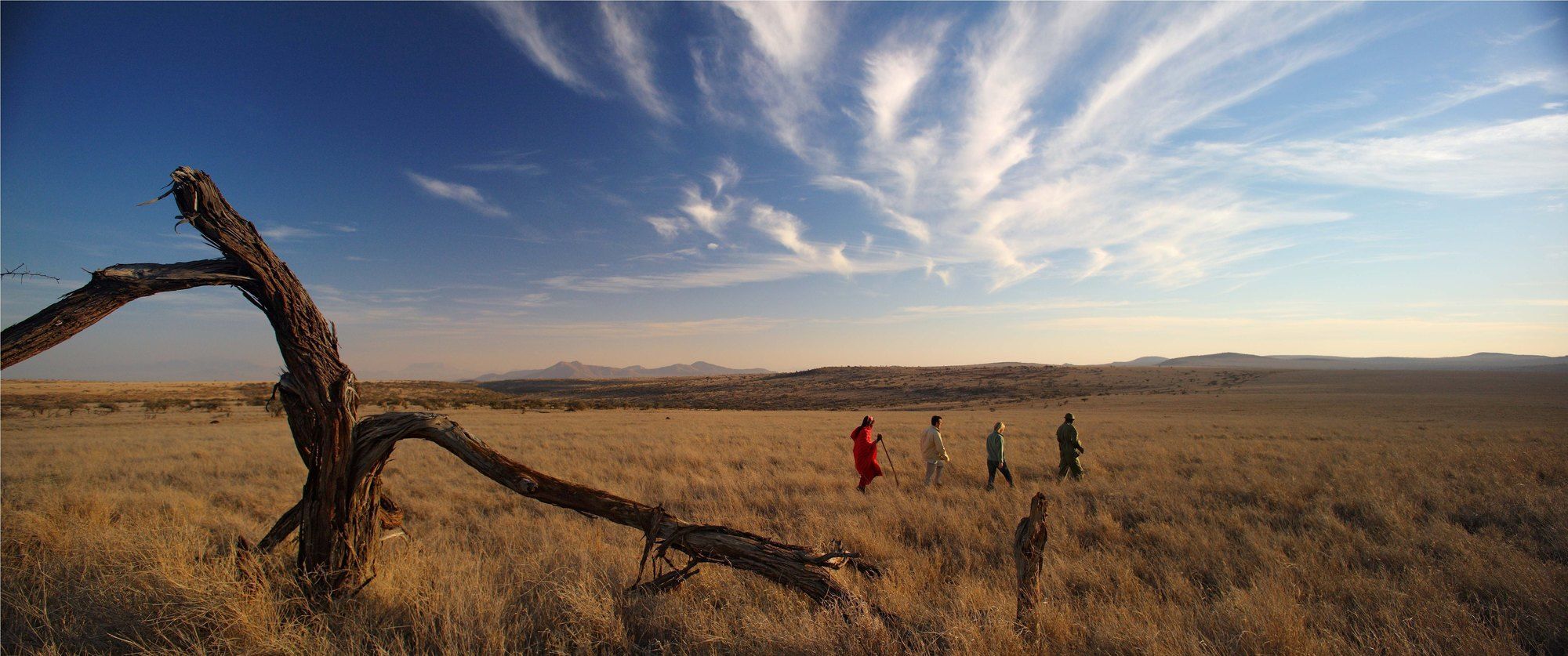 Elewana Lewa Safari Camp Hotell Timau Eksteriør bilde