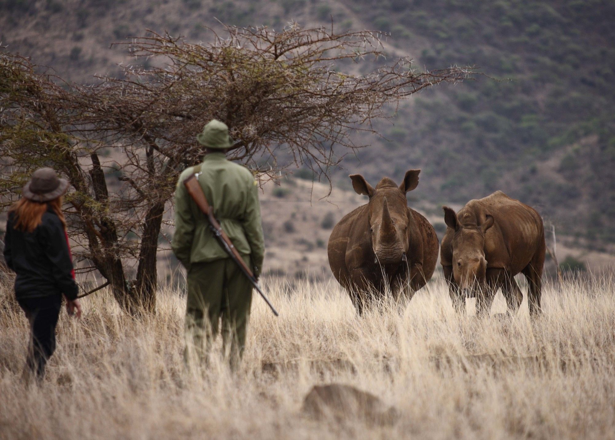 Elewana Lewa Safari Camp Hotell Timau Eksteriør bilde