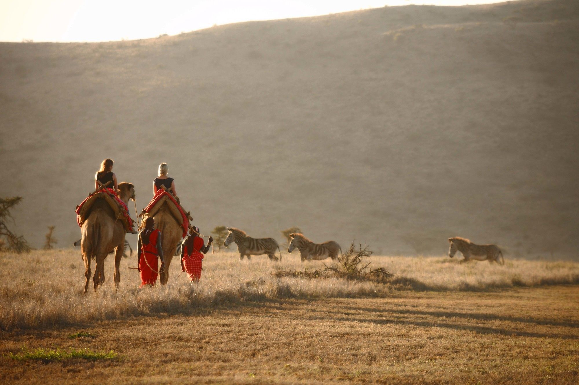 Elewana Lewa Safari Camp Hotell Timau Eksteriør bilde